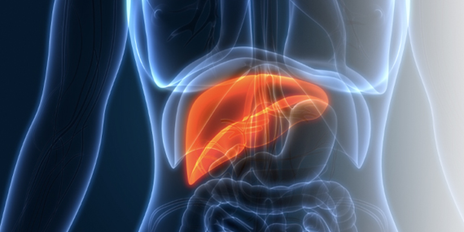 Liver Cancer