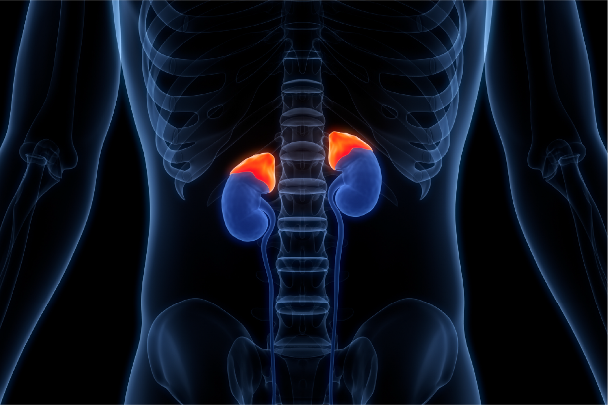 Adrenal Cancer